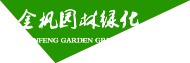 360直播